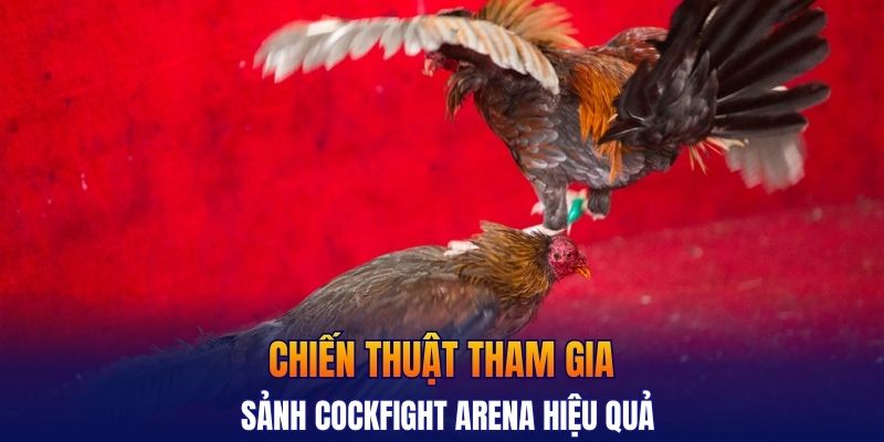Chiến thuật tham gia sảnh Cockfight Arena hiệu quả