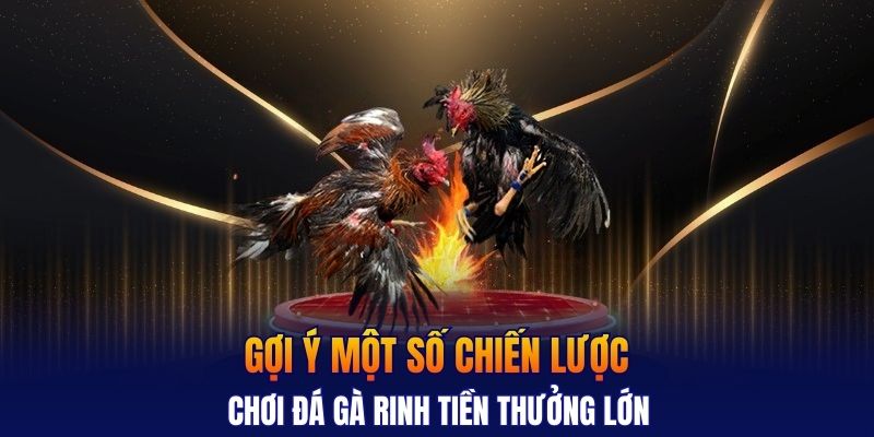 Gợi ý một số chiến lược chơi đá gà rinh tiền thưởng lớn
